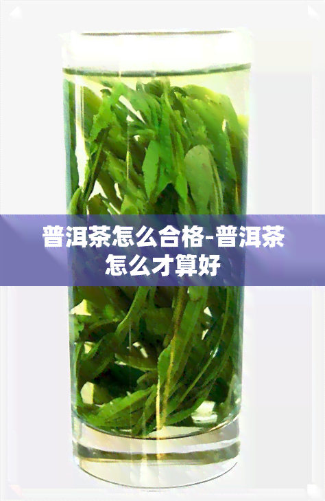 普洱茶怎么合格-普洱茶怎么才算好