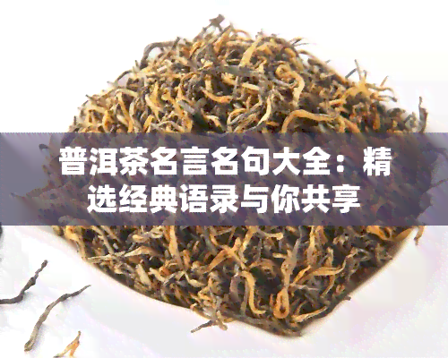 普洱茶名言名句大全：精选经典语录与你共享