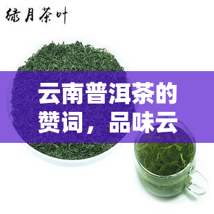 云南普洱茶的赞词，品味云南普洱茶的独特魅力——赞词篇