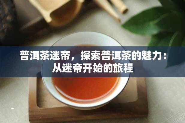 普洱茶迷帝，探索普洱茶的魅力：从迷帝开始的旅程