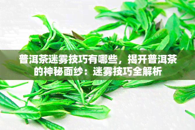 普洱茶迷雾技巧有哪些，揭开普洱茶的神秘面纱：迷雾技巧全解析