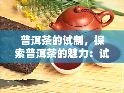 普洱茶的试制，探索普洱茶的魅力：试制过程全解析