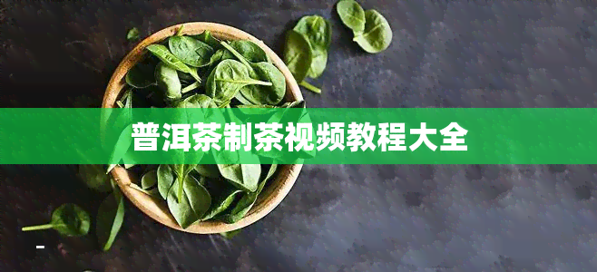 普洱茶制茶视频教程大全