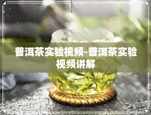 普洱茶实验视频-普洱茶实验视频讲解