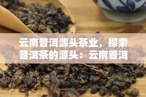 云南普洱源头茶业，探索普洱茶的源头：云南普洱源头茶业