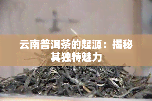 云南普洱茶的起源：揭秘其独特魅力