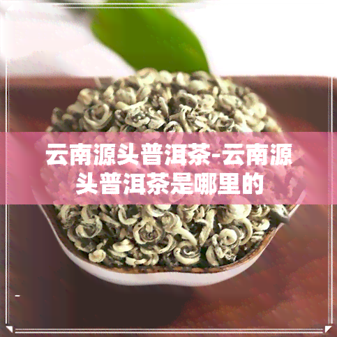 云南源头普洱茶-云南源头普洱茶是哪里的