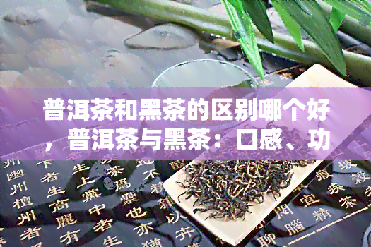 普洱茶和黑茶的区别哪个好，普洱茶与黑茶：口感、功效及适宜人群的全面比较