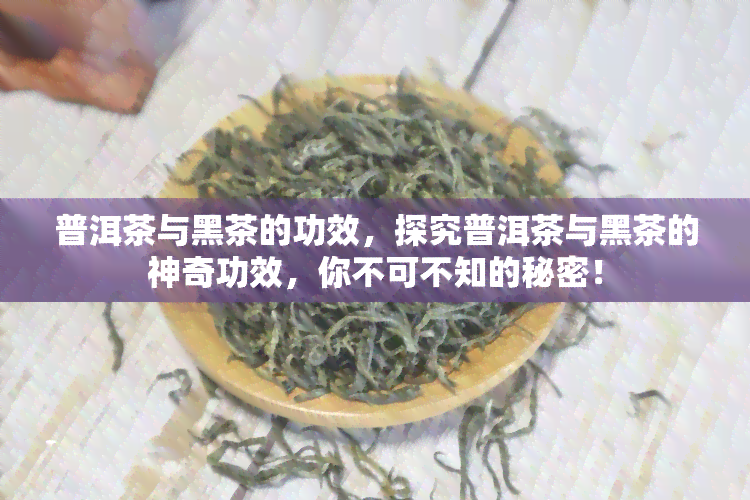 普洱茶与黑茶的功效，探究普洱茶与黑茶的神奇功效，你不可不知的秘密！