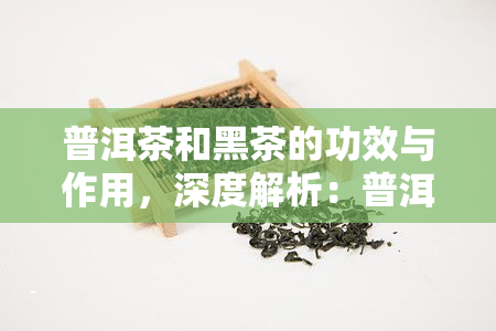 普洱茶和黑茶的功效与作用，深度解析：普洱茶和黑茶的神奇功效与作用