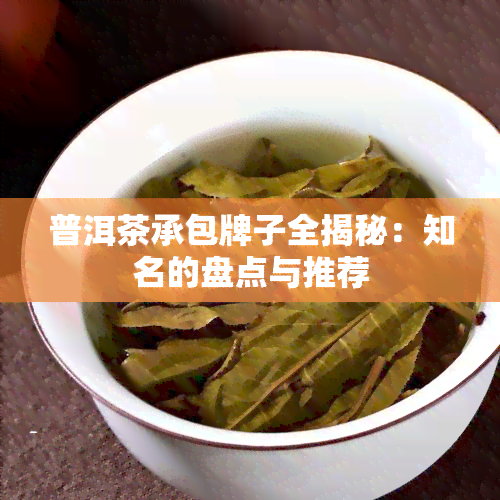 普洱茶承包牌子全揭秘：知名的盘点与推荐