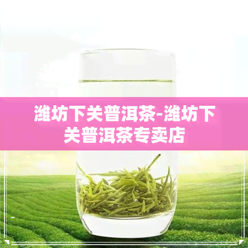 潍坊下关普洱茶-潍坊下关普洱茶专卖店