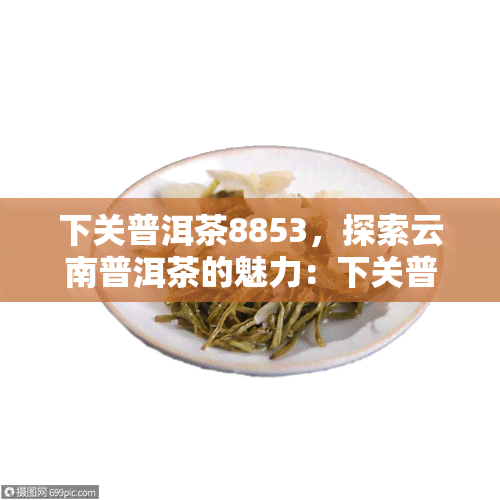 下关普洱茶8853，探索云南普洱茶的魅力：下关普洱茶8853的品鉴与评价