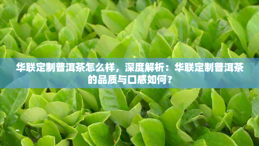 华联定制普洱茶怎么样，深度解析：华联定制普洱茶的品质与口感如何？