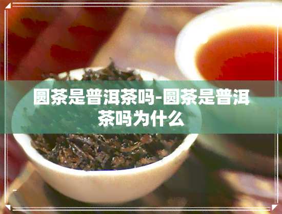 圆茶是普洱茶吗-圆茶是普洱茶吗为什么