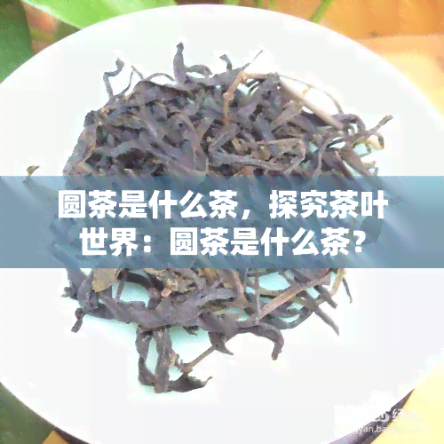 圆茶是什么茶，探究茶叶世界：圆茶是什么茶？