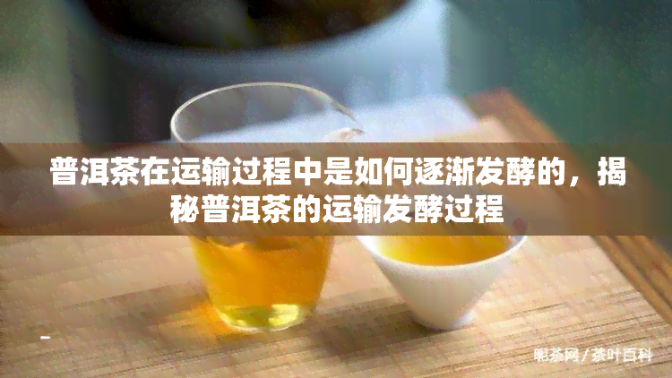 普洱茶在运输过程中是如何逐渐发酵的，揭秘普洱茶的运输发酵过程