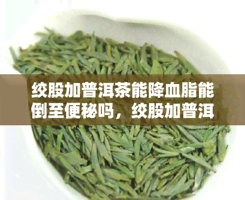 绞股加普洱茶能降血脂能倒至便秘吗，绞股加普洱茶：降低血脂还是引发便秘？