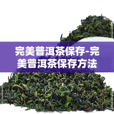 完美普洱茶保存-完美普洱茶保存方法