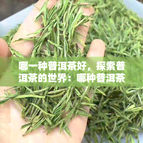 哪一种普洱茶好，探索普洱茶的世界：哪种普洱茶才是的选择？