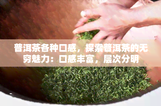 普洱茶各种口感，探索普洱茶的无穷魅力：口感丰富，层次分明