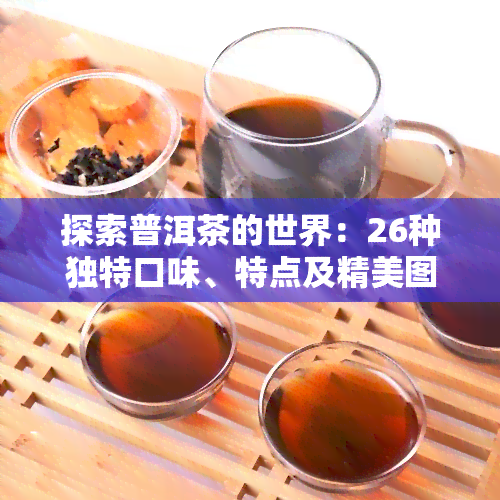 探索普洱茶的世界：26种独特口味、特点及精美图片全览