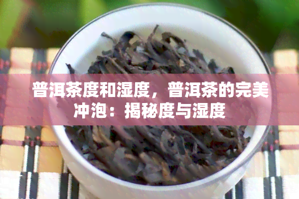 普洱茶度和湿度，普洱茶的完美冲泡：揭秘度与湿度