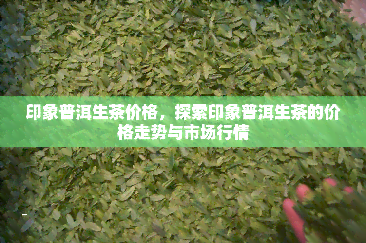 印象普洱生茶价格，探索印象普洱生茶的价格走势与市场行情