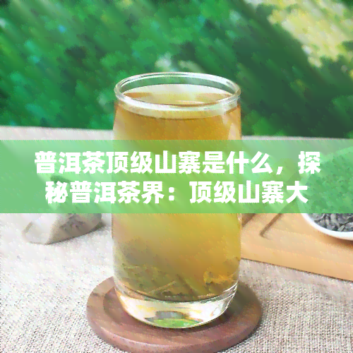 普洱茶顶级山寨是什么，探秘普洱茶界：顶级山寨大揭秘！