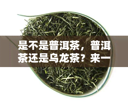 是不是普洱茶，普洱茶还是乌龙茶？来一发辨别指南！