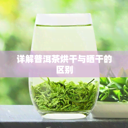 详解普洱茶烘干与晒干的区别