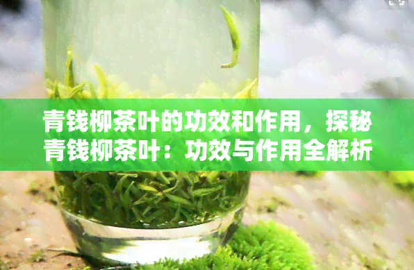 青钱柳茶叶的功效和作用，探秘青钱柳茶叶：功效与作用全解析