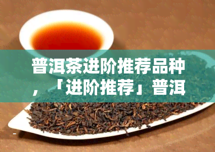 普洱茶进阶推荐品种，「进阶推荐」普洱茶品种大全