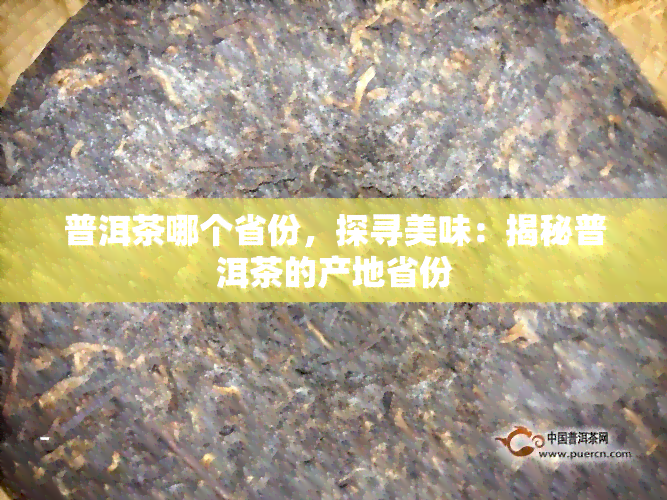 普洱茶哪个省份，探寻美味：揭秘普洱茶的产地省份