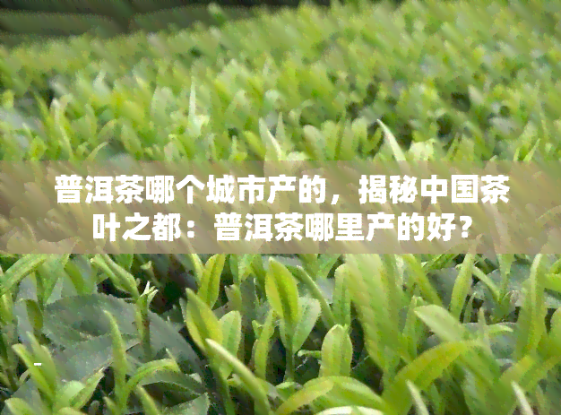 普洱茶哪个城市产的，揭秘中国茶叶之都：普洱茶哪里产的好？