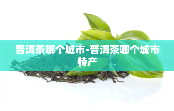 普洱茶哪个城市-普洱茶哪个城市特产