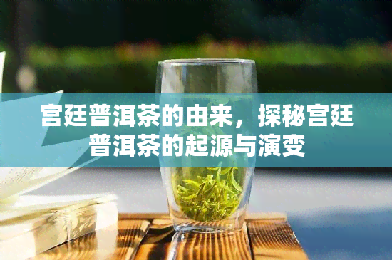 宫廷普洱茶的由来，探秘宫廷普洱茶的起源与演变