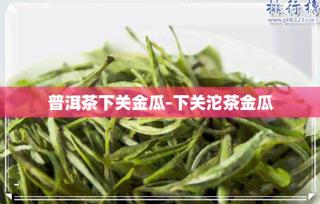 普洱茶下关金瓜-下关沱茶金瓜