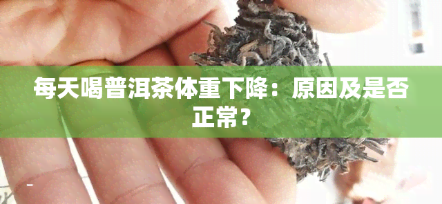 每天喝普洱茶体重下降：原因及是否正常？