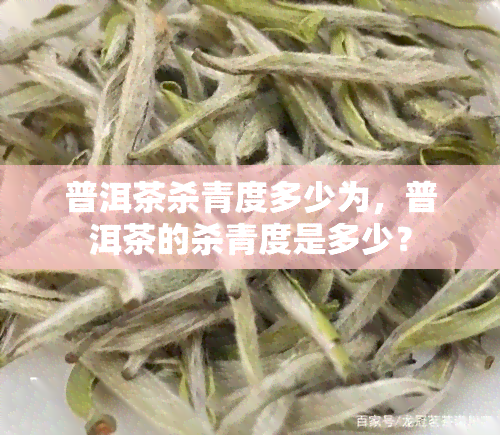 普洱茶杀青度多少为，普洱茶的杀青度是多少？