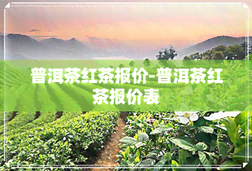 普洱茶红茶报价-普洱茶红茶报价表