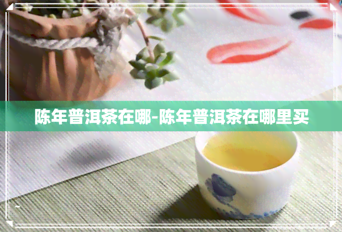 陈年普洱茶在哪-陈年普洱茶在哪里买