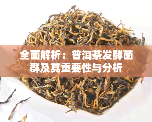 全面解析：普洱茶发酵菌群及其重要性与分析