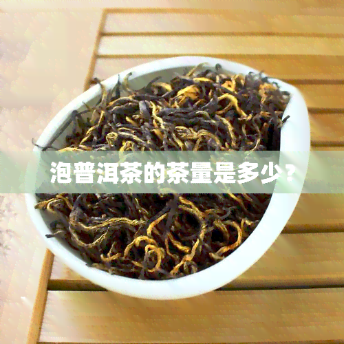 泡普洱茶的茶量是多少？