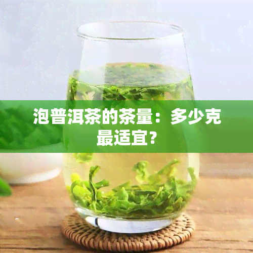 泡普洱茶的茶量：多少克最适宜？