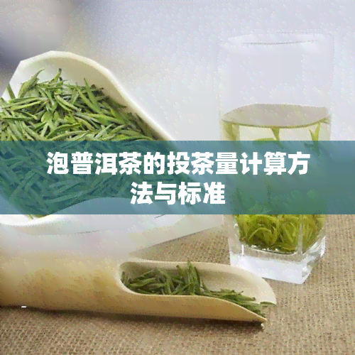 泡普洱茶的投茶量计算方法与标准