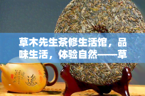 草木先生茶修生活馆，品味生活，体验自然——草木先生茶修生活馆