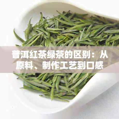 普洱红茶绿茶的区别：从原料、制作工艺到口感全方位解析