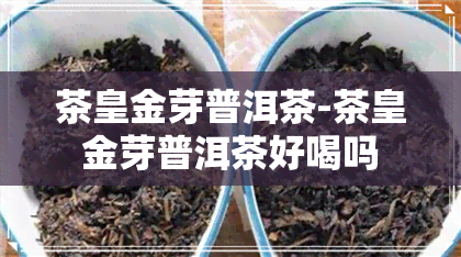 茶皇金芽普洱茶-茶皇金芽普洱茶好喝吗