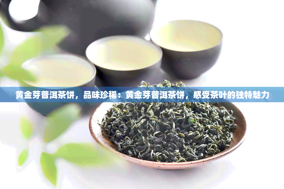 黄金芽普洱茶饼，品味珍稀：黄金芽普洱茶饼，感受茶叶的独特魅力